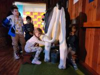 Zdjcie WhatsApp 2025-10-14 o 15.57.01_45a6fd5f.jpg